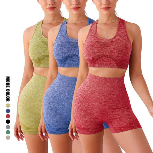 2PCS Seamless Women Yoga Set Workout Sportswear